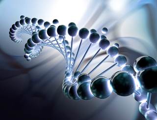 The prognostic value of karyotype in systemic mastocytosis, especially in the presence of adverse mutations, is unclear. The prognostic value of karyotype in systemic mastocytosis, especially in the presence of adverse mutations, is unclear.
