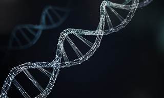 A dataset comprising 672 tumor specimens collected from 562 patients describes both genetic and functional information about the biology of AML. A dataset comprising 672 tumor specimens collected from 562 patients describes both genetic and functional information about the biology of AML.