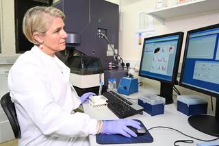 Researchers probed mutant calreticulins to determine whether they were secreted and behaved extracellularly as cytokines. Researchers probed mutant calreticulins to determine whether they were secreted and behaved extracellularly as cytokines.